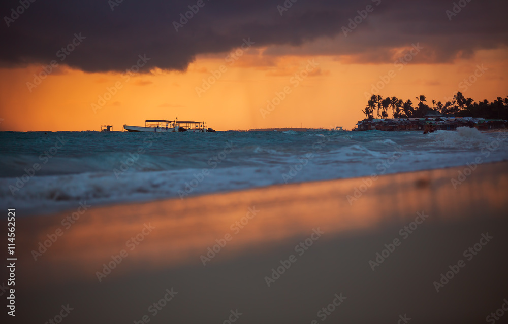 Exotic Beach in Dominican Republic, Punta Cana Exotic Beach in Dominican Republic, Punta Cana