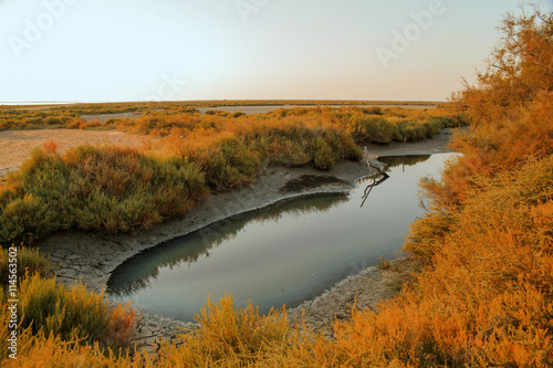 Sunset in the Camargue national park. Rhone Delta, Provence, France
