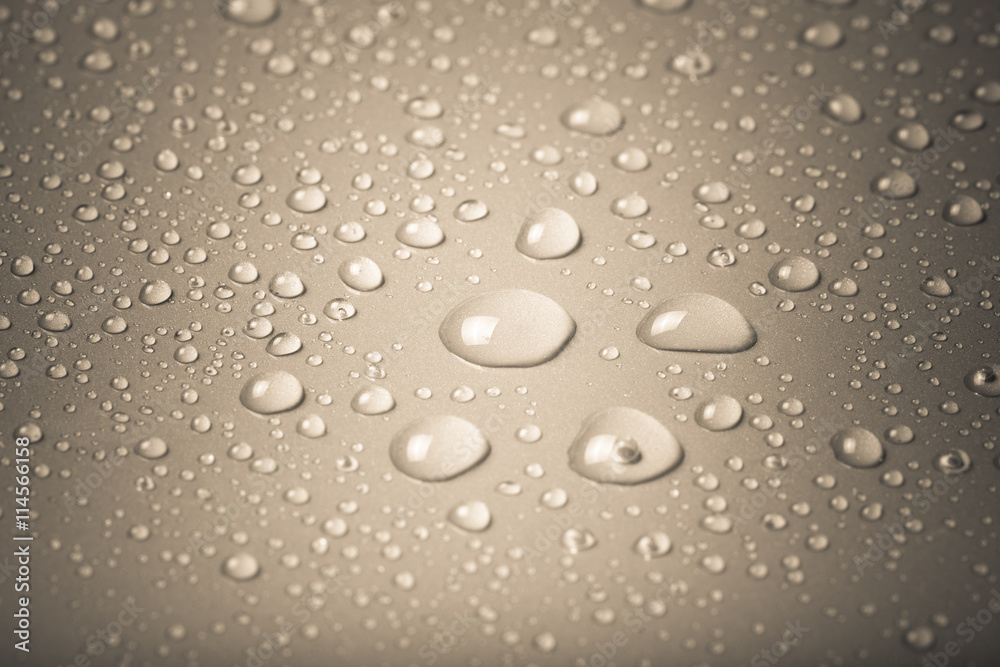 Drops of water on a color background. Gray. Shallow depth of fie