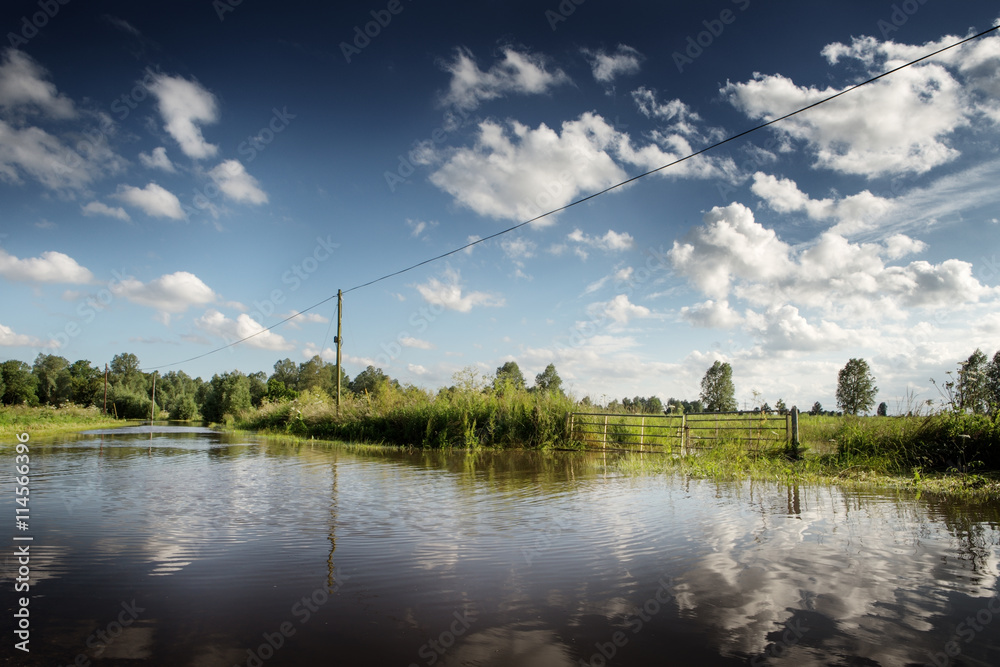 Obraz premium Countryside in Essex UK