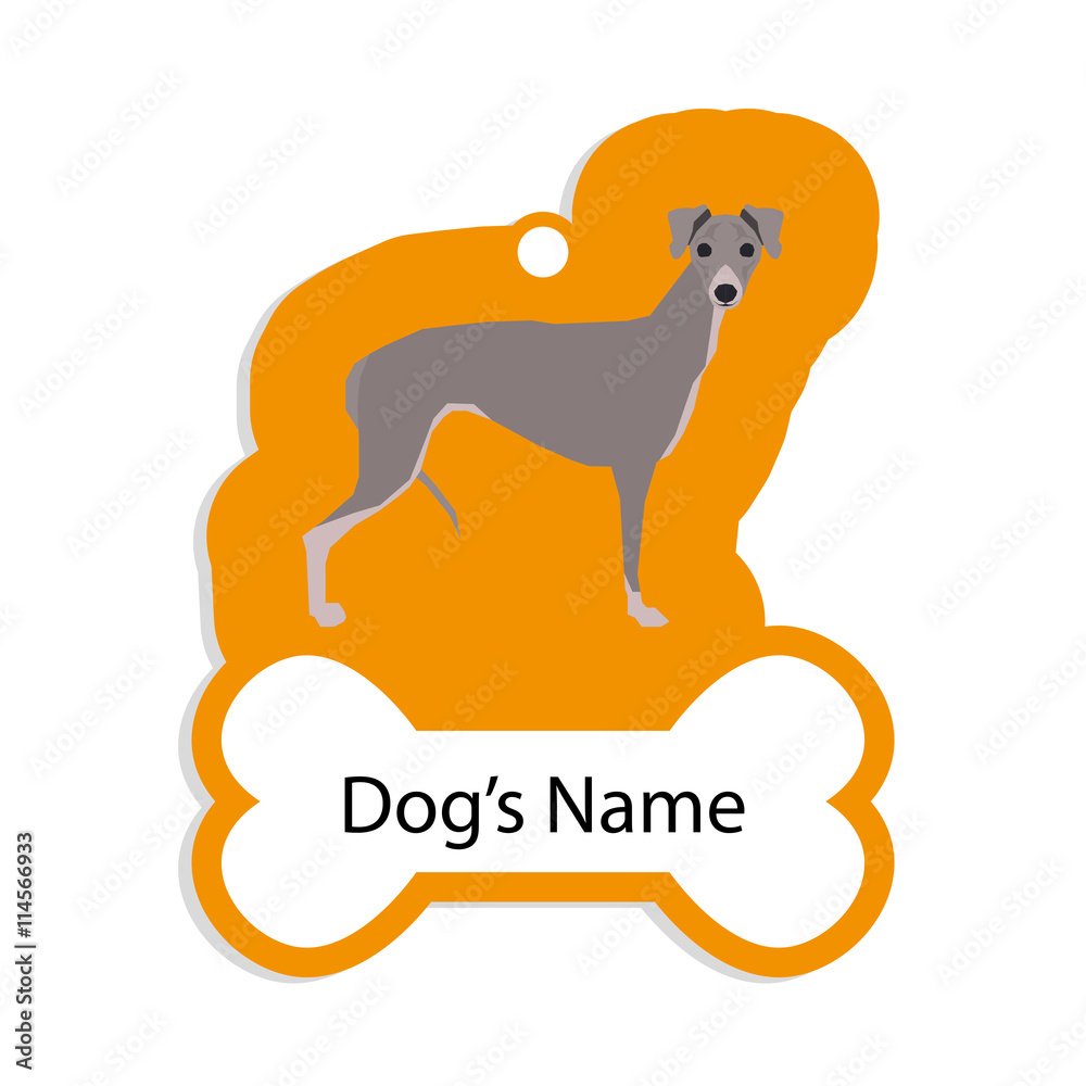 Isolated dog tag