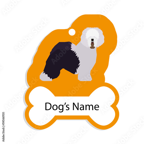 Isolated dog tag