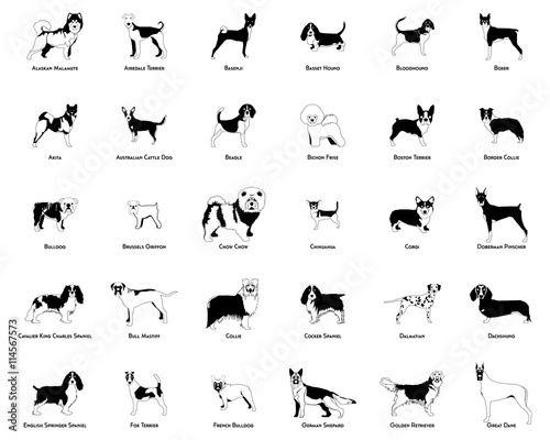 Set of dog silhouettes