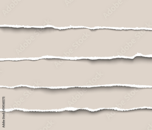 Set of torn paper dividers for websites and infographics. Realistic vector torn paper with ripped edges