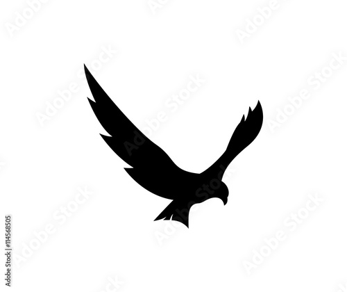 Eagle logo