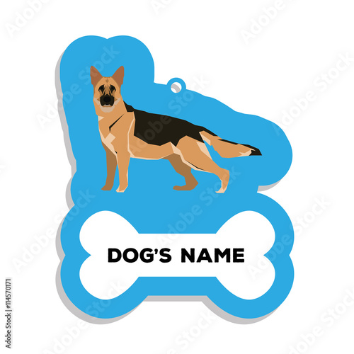 Isolated dog tag