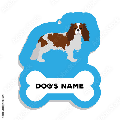 Isolated dog tag