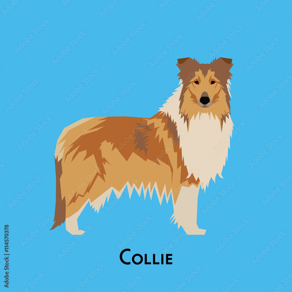 Fototapeta premium Isolated dog