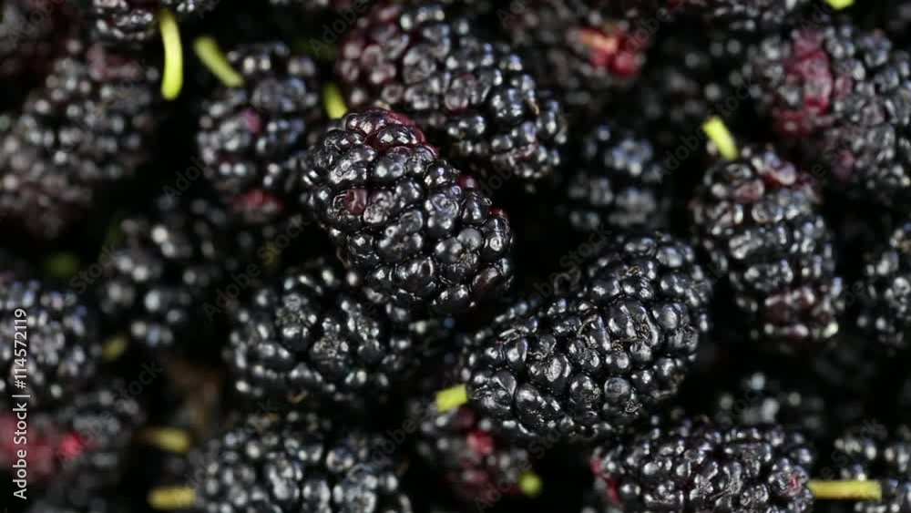 Mulberry close up. Loop rotation. Front of the camera rotates plate with mulberry Mulberry close up. Loop rotation. Front of the camera rotates plate with mulberry