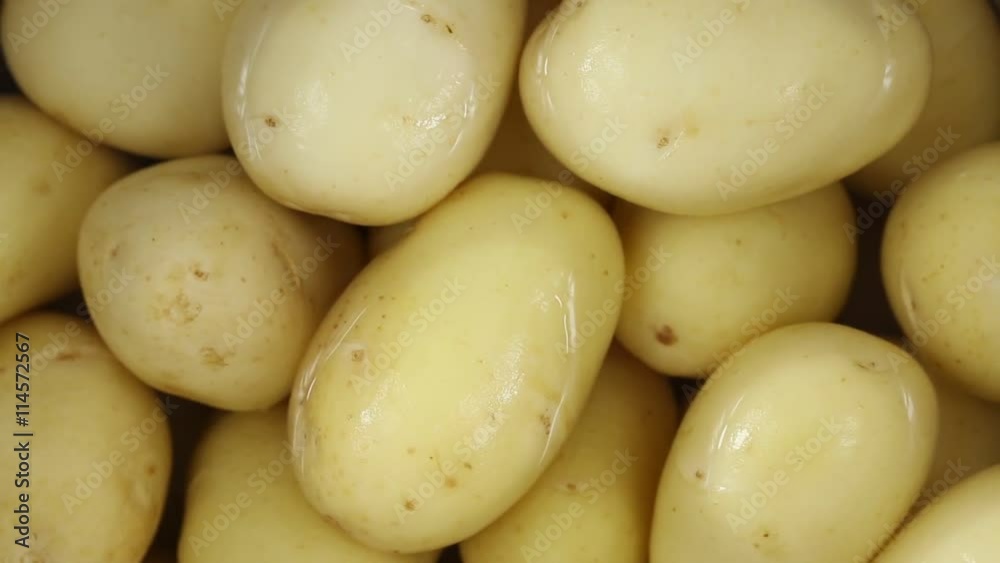 Young potato in water close up. Loop rotation. Front of the camera rotates plate with young potato Young potato in water close up. Loop rotation. Front of the camera rotates plate with young potato