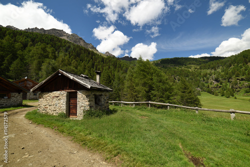 paesaggio di montagna montagne prateria spettacolo natura Alpi Trentino Italia sentiero malga maso