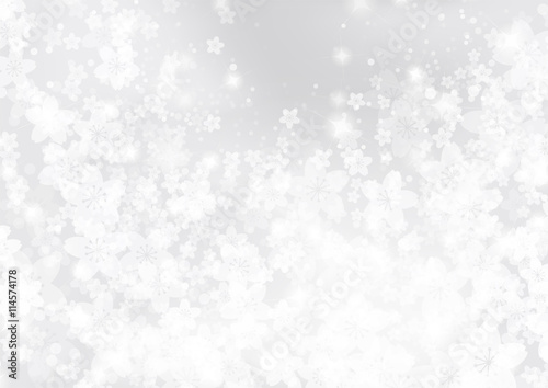 White cherry blossoms background