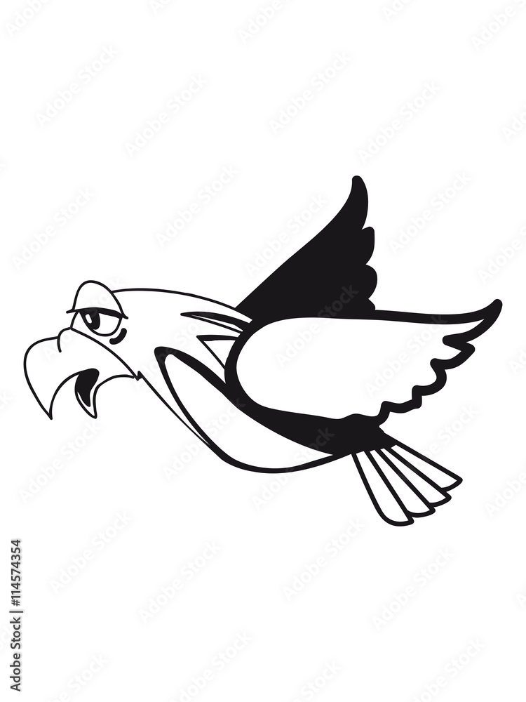 Fototapeta premium Bird flying funny