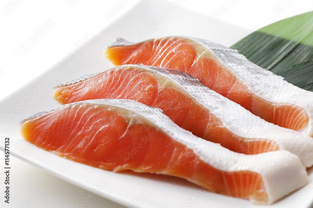 鮭　Salmon