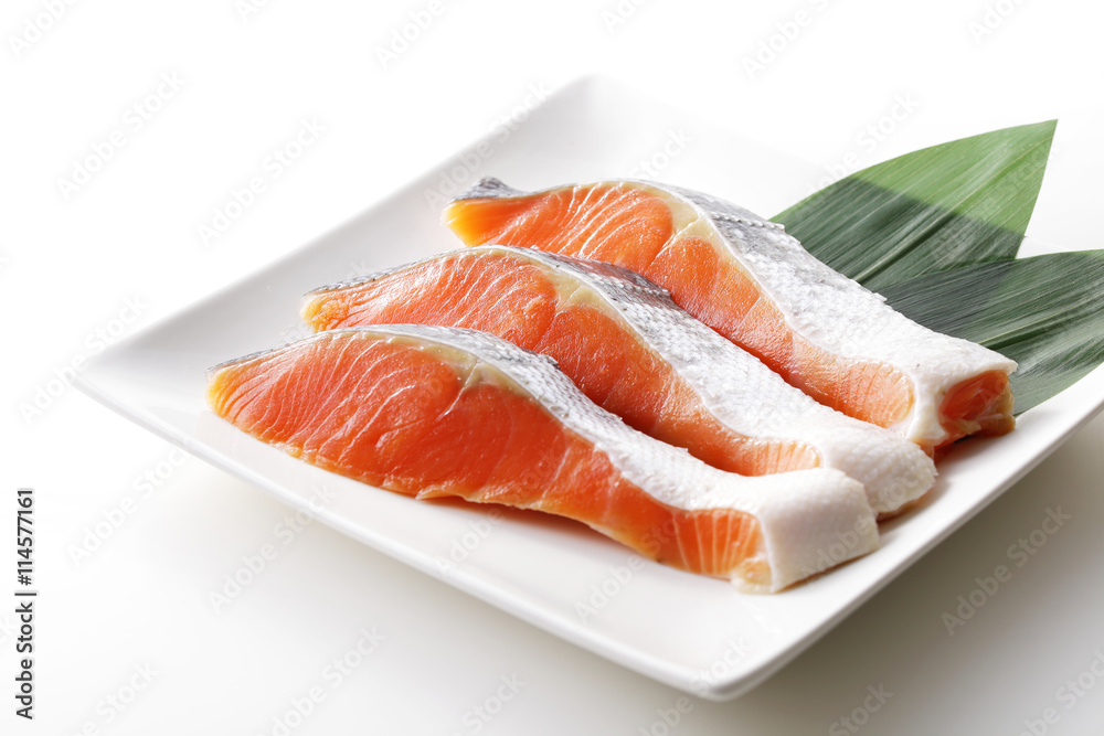 鮭　Salmon