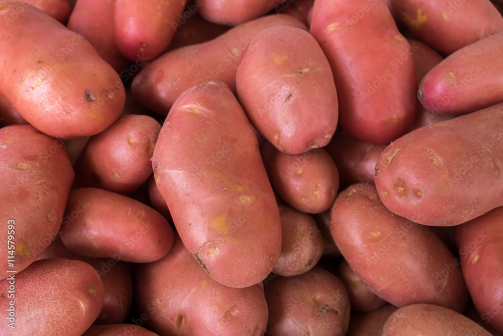The new harvest red potatoes at local farm market The new harvest red potatoes at local farm market