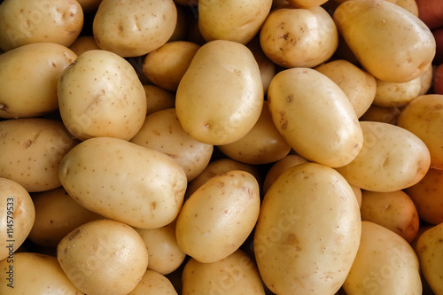 The new harvest potatoes at local farm market
