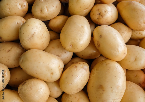The new harvest potatoes at local farm market