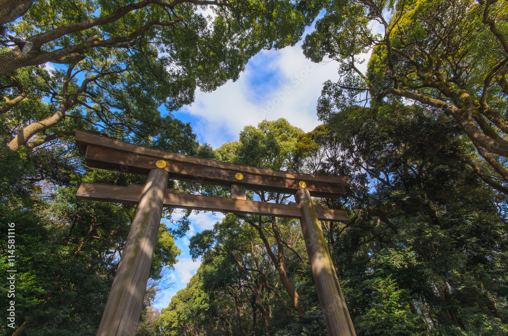 Meiji Jingu Shrine yoyogi park and arch. Harajuku tokyo Meiji Jingu Shrine yoyogi park and arch. Harajuku tokyo