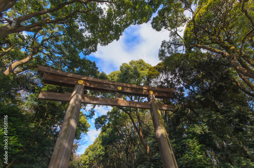 Meiji Jingu Shrine yoyogi park and arch. Harajuku tokyo