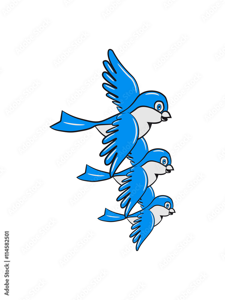 Fototapeta premium Bird fly formation sweet small