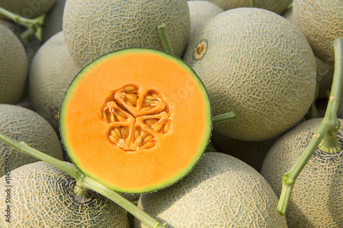 Cantaloup melon photo