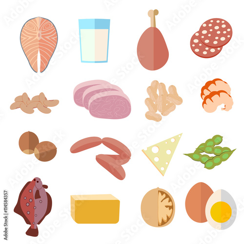 set of products, protein diet, icons flat design