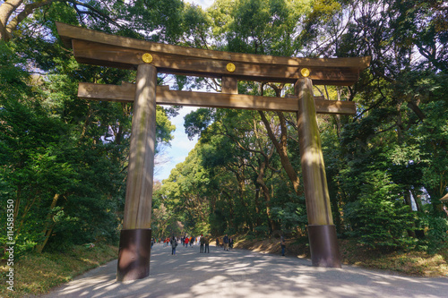Tokyo, Japan - January 26, 2016: Meiji Jingu Shrine yoyogi park