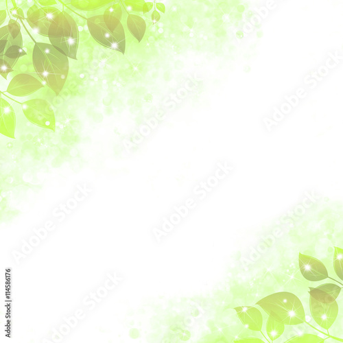 Gentle background with the sparkling leaves, lime