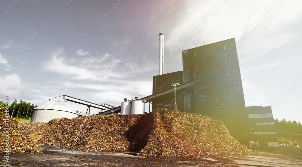 Fototapeta premium bio power plant with storage of wooden fuel against blue sky