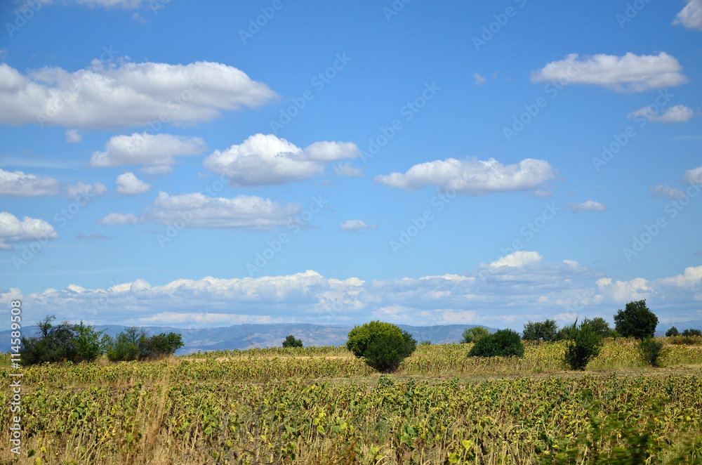 Picturesque Pelagonia landscape at the end of summer season Picturesque Pelagonia landscape at the end of summer season