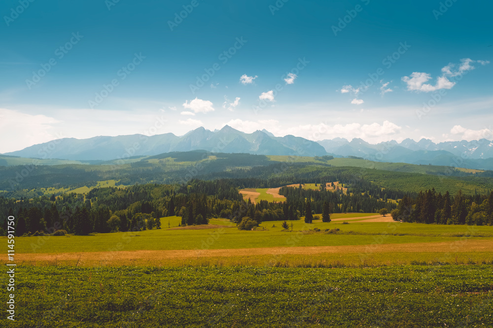 Panorama of Tatra Mountains in summer time
