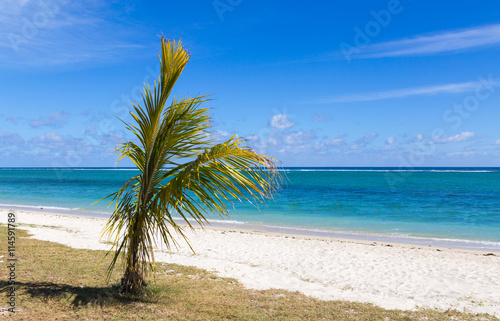   ffentlicher strand von Flic en flac Mauritius mit Blick auf da