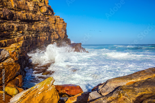 Cape of Good Hope