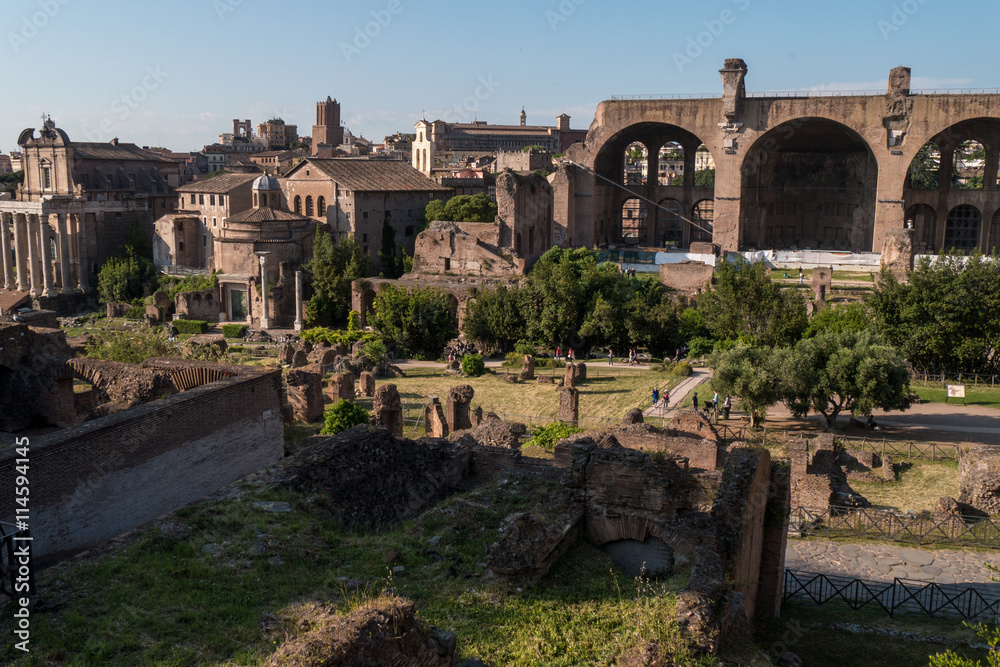Blick auf das Forum Romanum in Rom