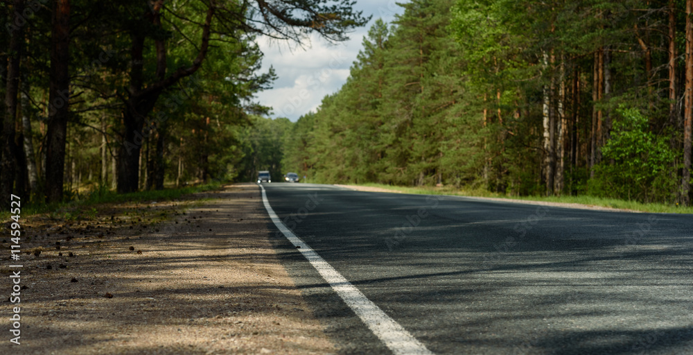 Fototapeta premium turn field road in summer forest