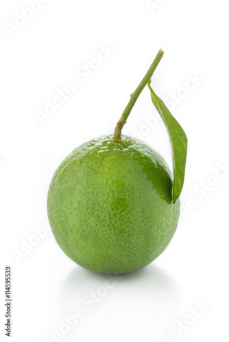 green lemon or lime with leaf on a white background.

