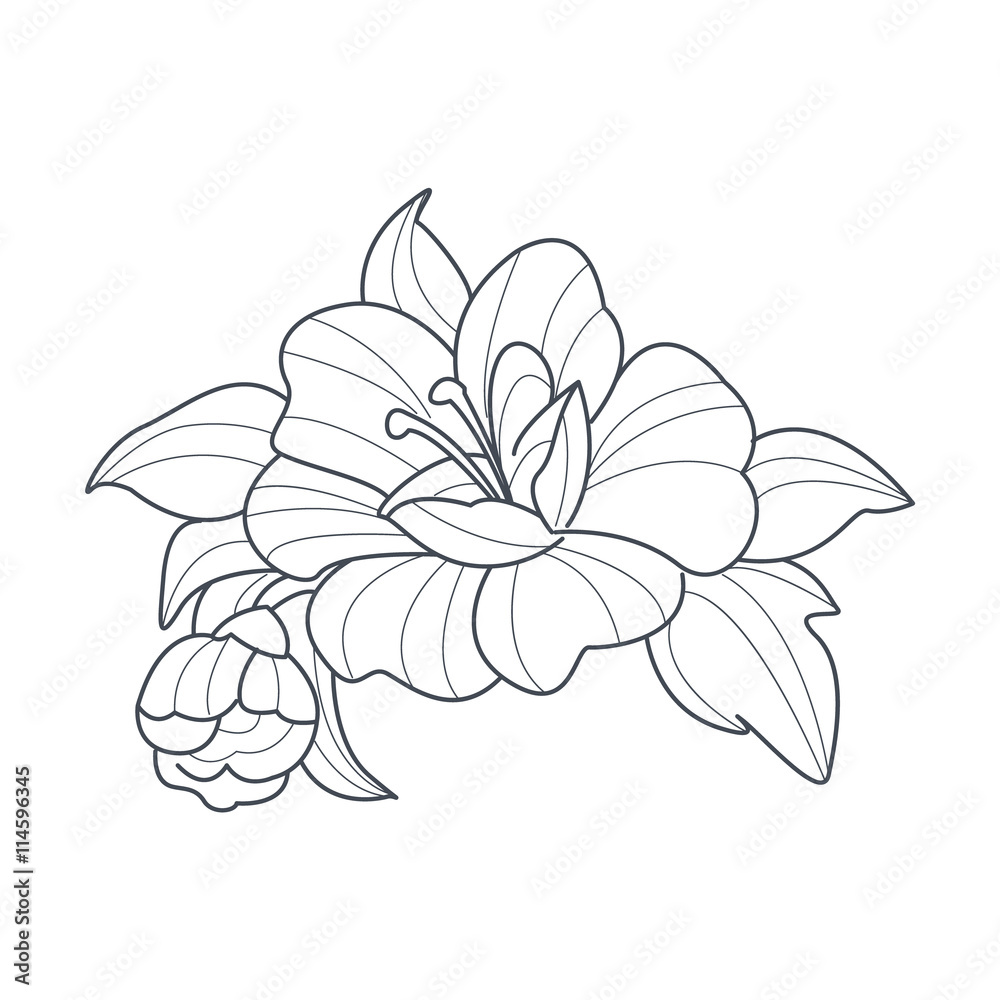 Dog Rose Flower Monochrome Drawing For Coloring Book