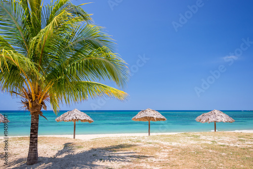 Straw umbrella and palm tree on a beautiful tropical beach
