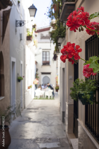Fototapeta Naklejka Na Ścianę i Meble -  Narrow old town street of Badajoz