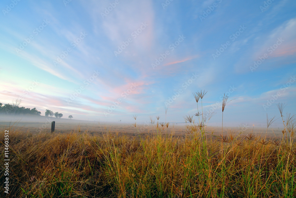 Australia Landscape : Farming in Australia