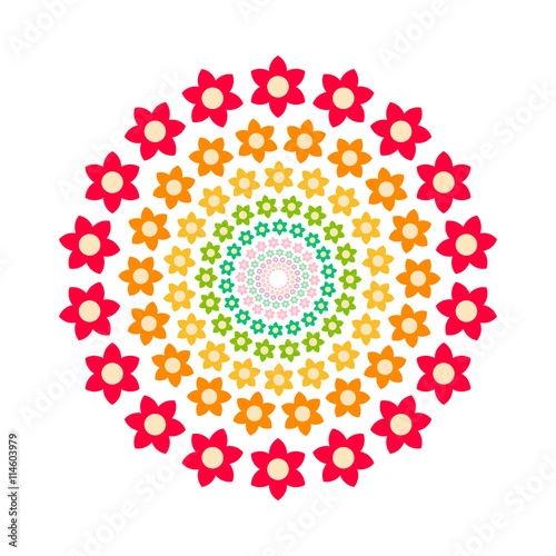 Circle flower colorful vector