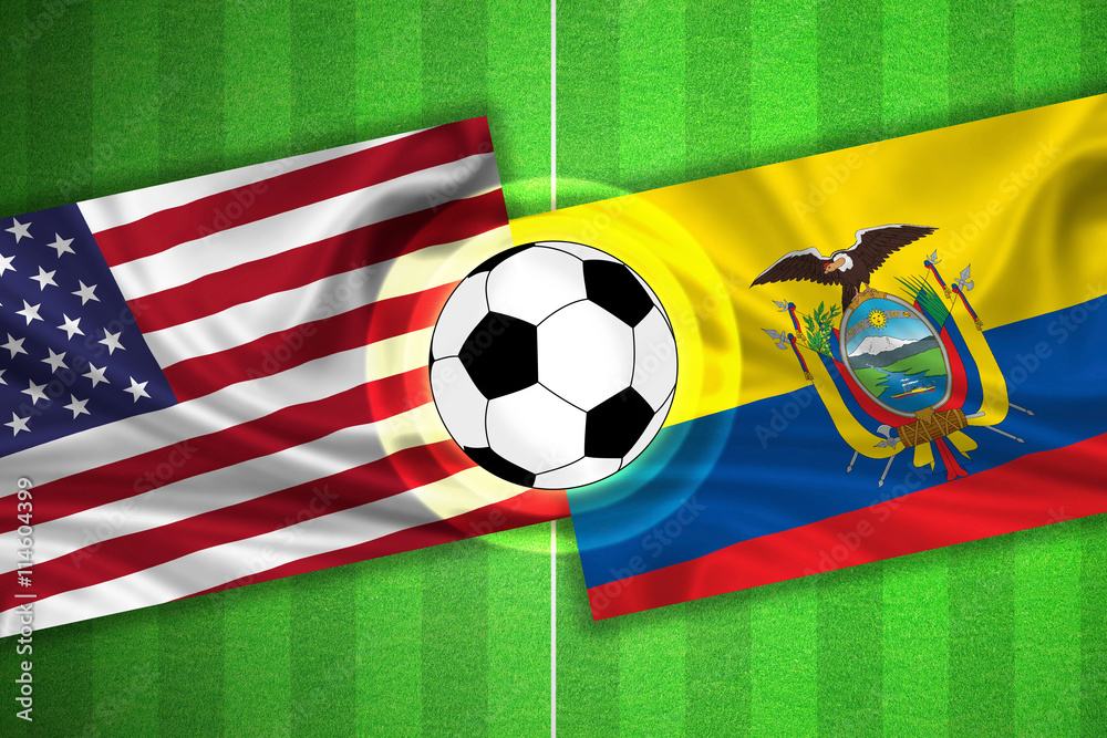 Naklejka premium USA / America - Ecuador - Soccer field with ball