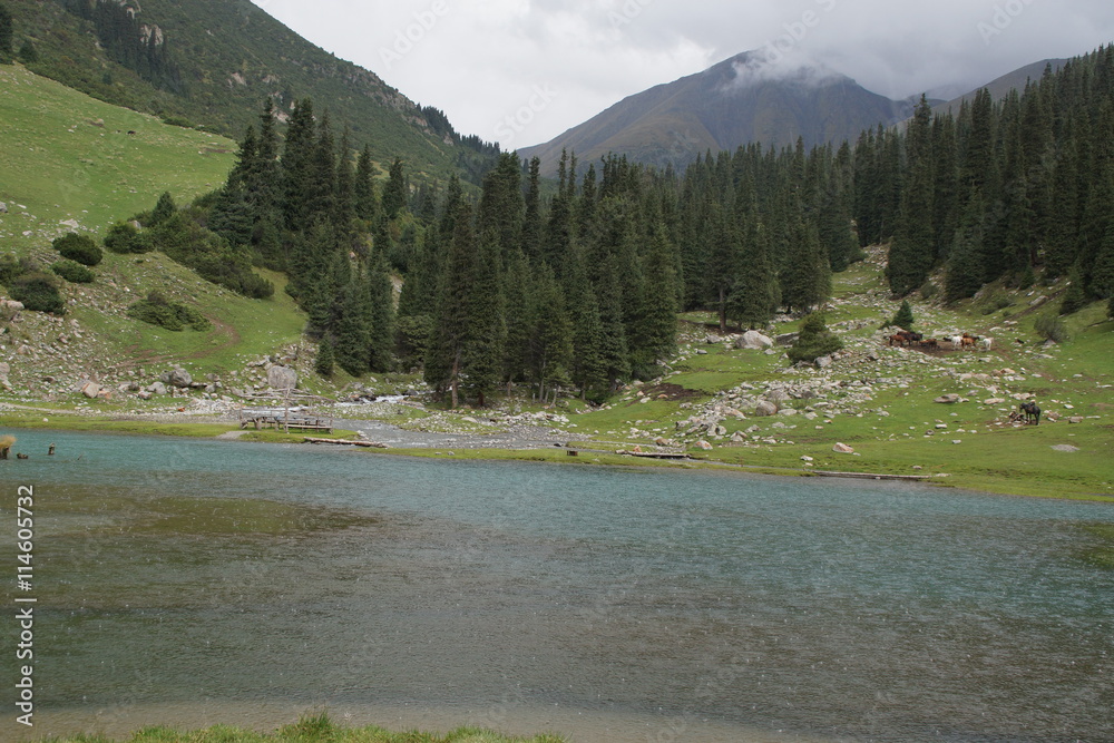 In the mountains of Kyrgyzstan       