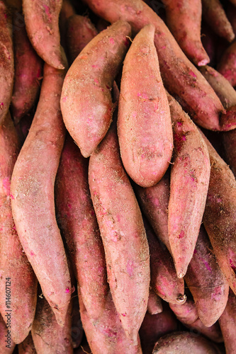 Raw sweet potatoes, sweet potato in the market.