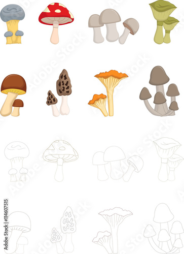 different kinds of mushrooms with coloring book