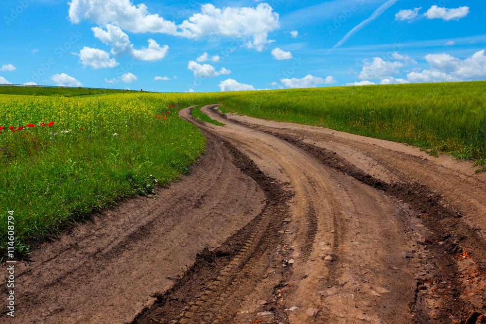 Ukrainian landscape