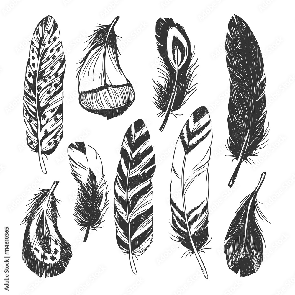 Feather set in Native American Indian style. Stock Vector | Adobe Stock