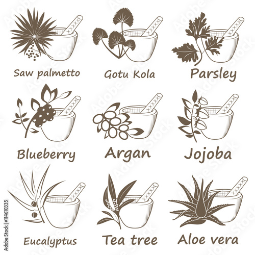 Collection of Ayurvedic Herbs.