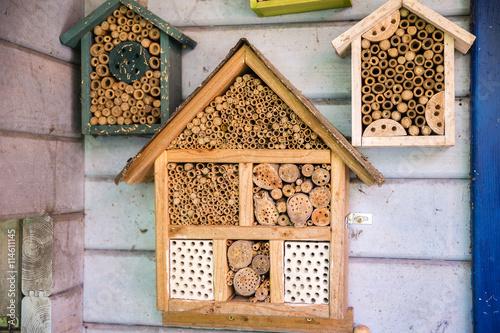 wooden lacewig house for bees photo